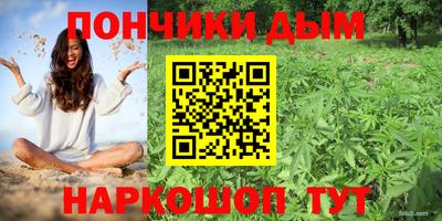 PSILOCYBIN Будённовск