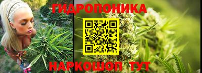 дмт Бузулук