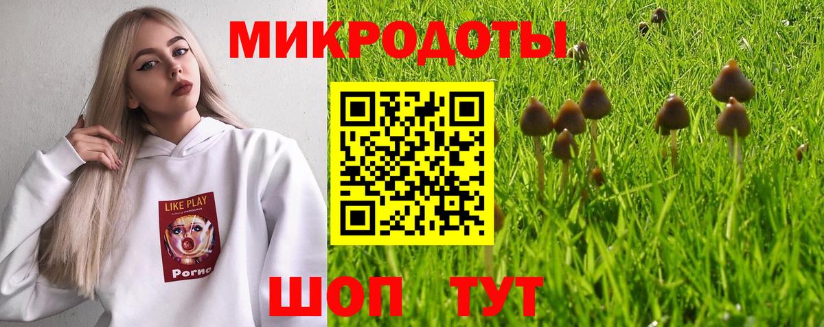 где найти наркотики  Вход с VPN  Галлюциногенные грибы Cubensis  Миасс  Псилоцибиновые грибы Psilocybine cubensis 